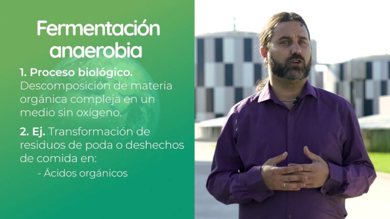 El Proceso Biol&oacute;gico de la Fermentaci&oacute;n Anaer&oacute;bica: Fundamentos y Aplicaciones