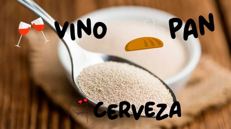 Aplicaciones de la Levadura en la Fermentaci&oacute;n