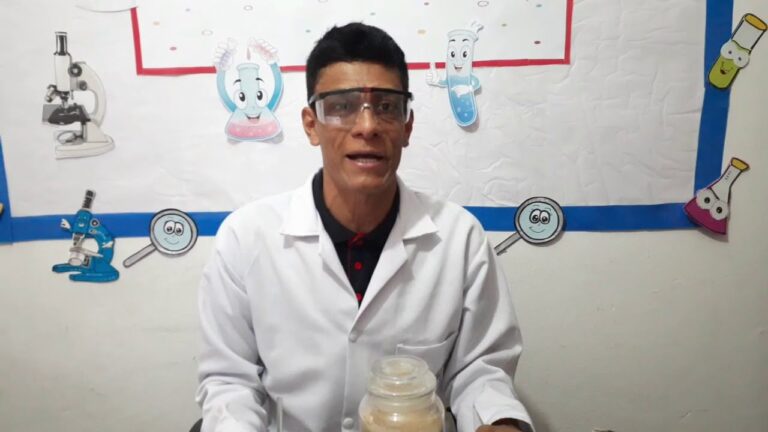 Innovaci&oacute;n en Fermentaci&oacute;n con Levadura Deshidratada