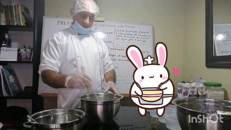 Beneficios de los Cultivos Probi&oacute;ticos en la Fermentaci&oacute;n L&aacute;ctica