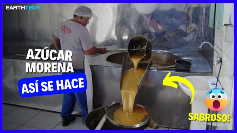 Innovaci&oacute;n Dulce: Reposter&iacute;a Creativa con Melaza de Ca&ntilde;a