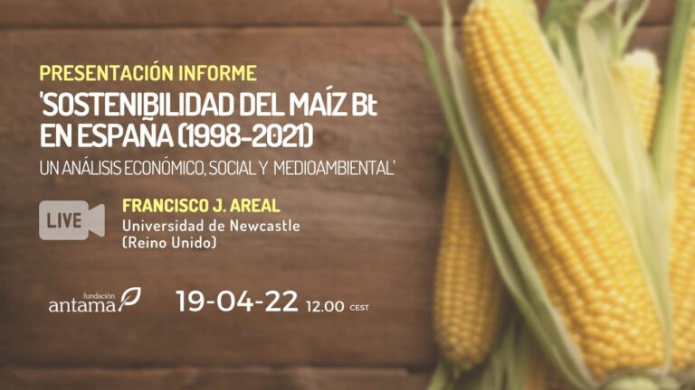 Producci&oacute;n de Pan: Hacia la Sostenibilidad Ambiental