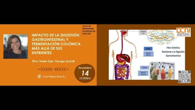 El impacto de la fermentaci&oacute;n en la digesti&oacute;n