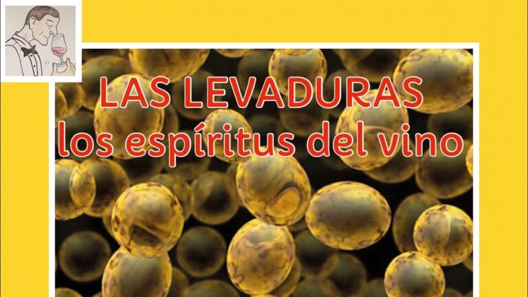 El Arte de Fermentar con Levadura L&iacute;quida