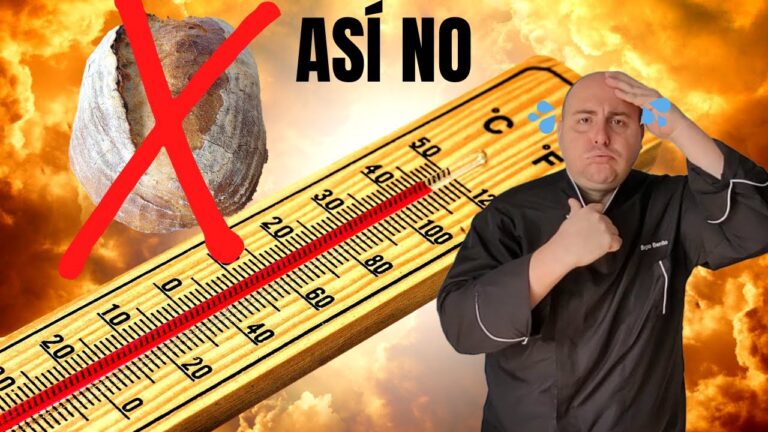 Consejos Pr&aacute;cticos para Dominar la Masa de Pan Perfecta