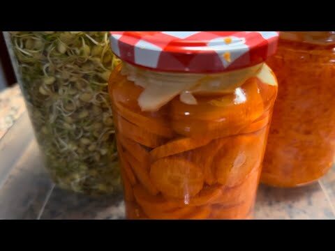 Encurtidos Probi&oacute;ticos: Beneficios y Proceso de Fermentaci&oacute;n