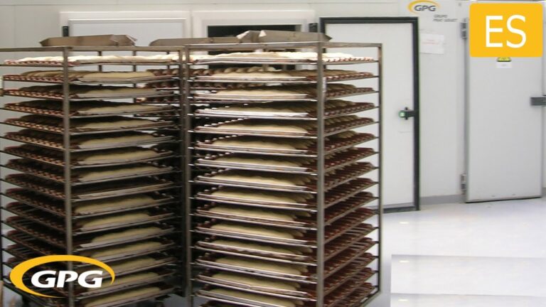 Mejora la Calidad de Tus Productos con Cámaras de Fermentación