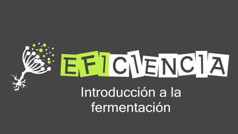 Microorganismos en la Fermentaci&oacute;n Anaer&oacute;bica: Clave para la Sostenibilidad