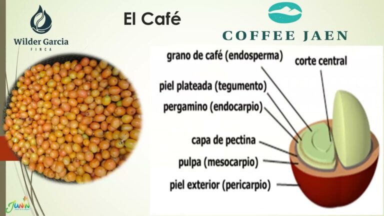 Fermentaci&oacute;n Controlada: Clave en la Producci&oacute;n de Alimentos