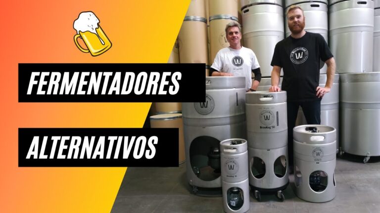 T&eacute;cnicas de Fermentaci&oacute;n en la Industria Cervecera: Innovaci&oacute;n y Sabor