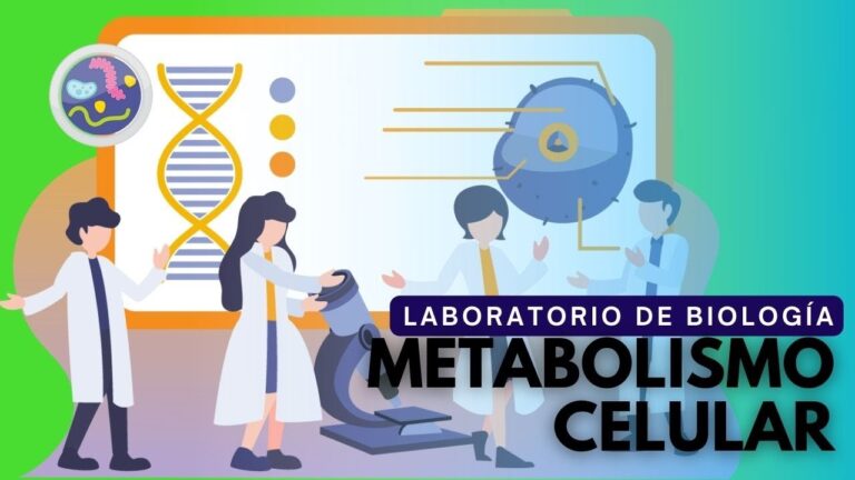 Levadura como Catalizador en la Fermentaci&oacute;n Aer&oacute;bica