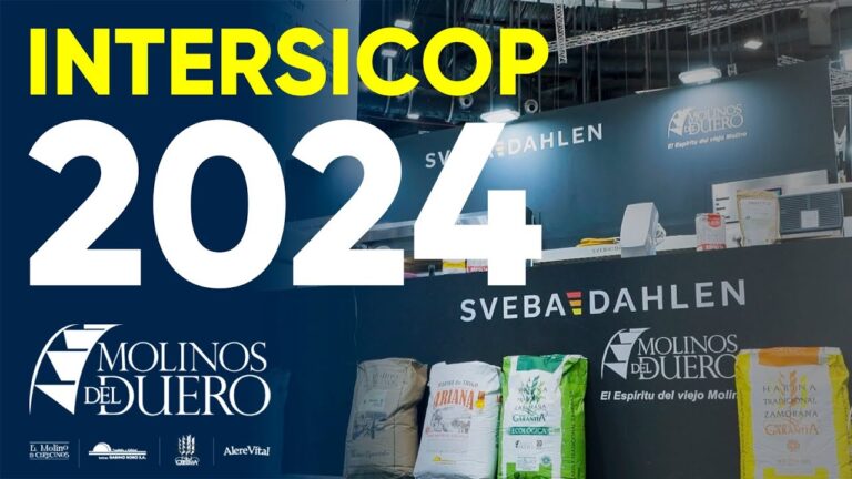 Innovaci&oacute;n en la Panader&iacute;a Portuguesa: Tradici&oacute;n y Futuro