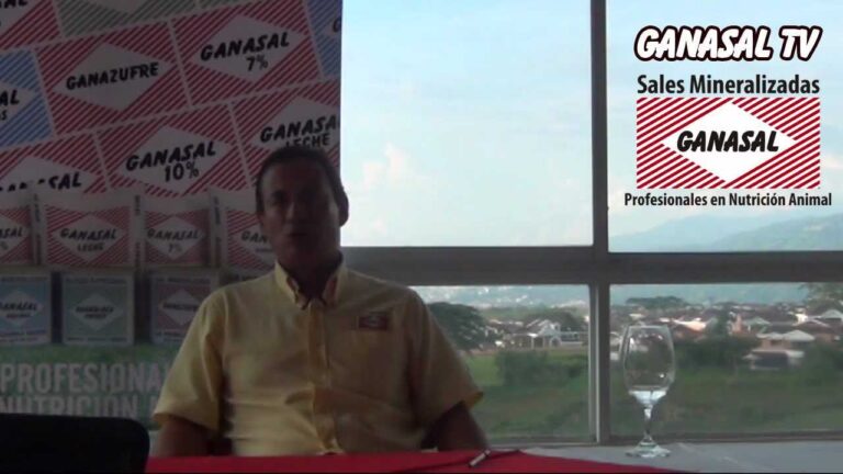 La importancia de la levadura en la producci&oacute;n de probi&oacute;ticos