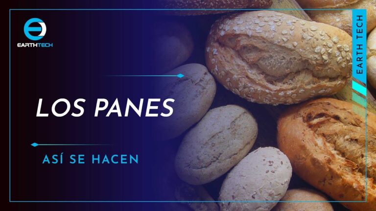 Innovaci&oacute;n en la Preparaci&oacute;n de Masa de Pan