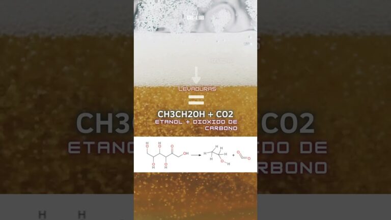 Fermentaci&oacute;n Anaer&oacute;bica: Clave en la Producci&oacute;n Cervecera