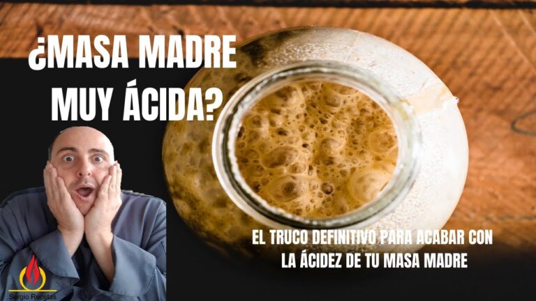 Beneficios de los Alimentos Enriquecidos por Fermentaci&oacute;n y Levadura