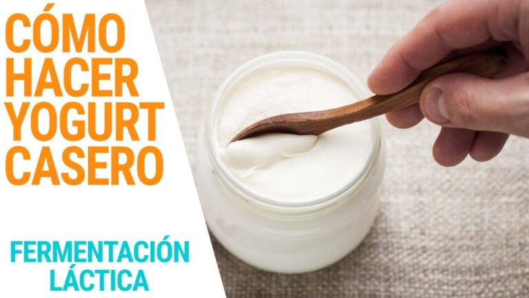 Fermentaci&oacute;n L&aacute;ctica en la Producci&oacute;n de L&aacute;cteos: Claves y Beneficios