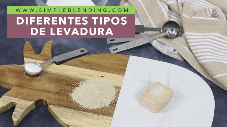 La clave de la fermentaci&oacute;n: la importancia de la levadura seca