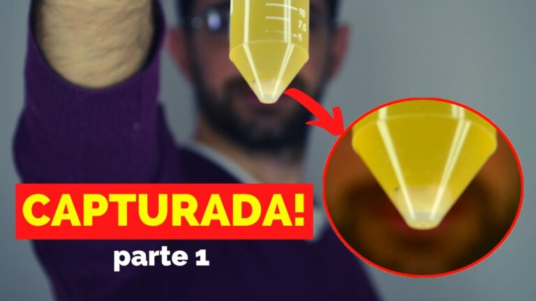 Fermentaci&oacute;n Eficiente con Levadura Salvaje