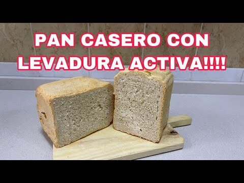 El Poder de la Levadura Activa en la Cocina Casera