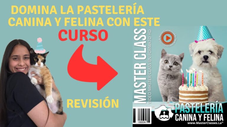 Maestr&iacute;a en Reposter&iacute;a: Crea Postres Memorables