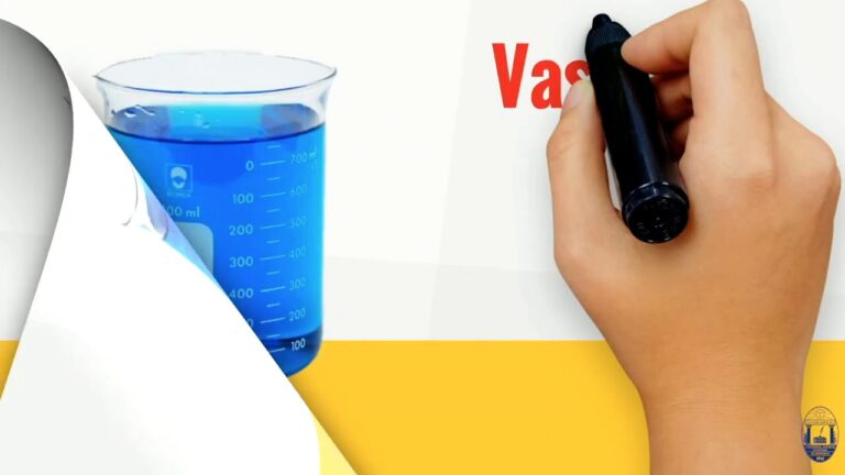 Equipos Especializados para la Manipulaci&oacute;n Eficiente de Masa