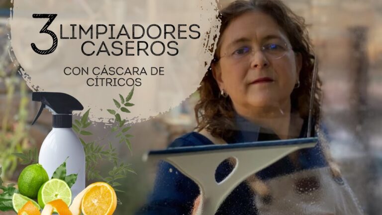 Maximiza el Sabor: Trucos para Usar Lim&oacute;n Rallado